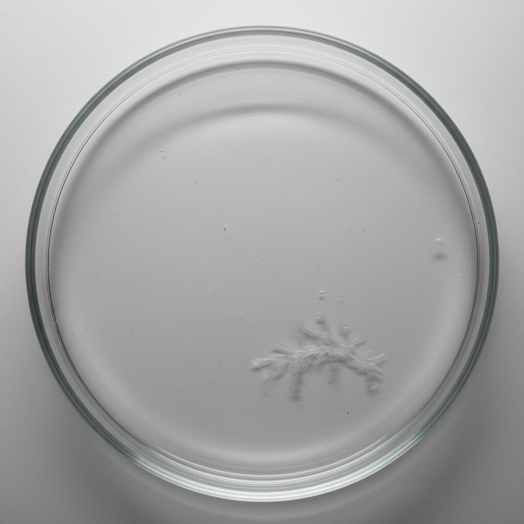 Microscopic Impurities in Peptides