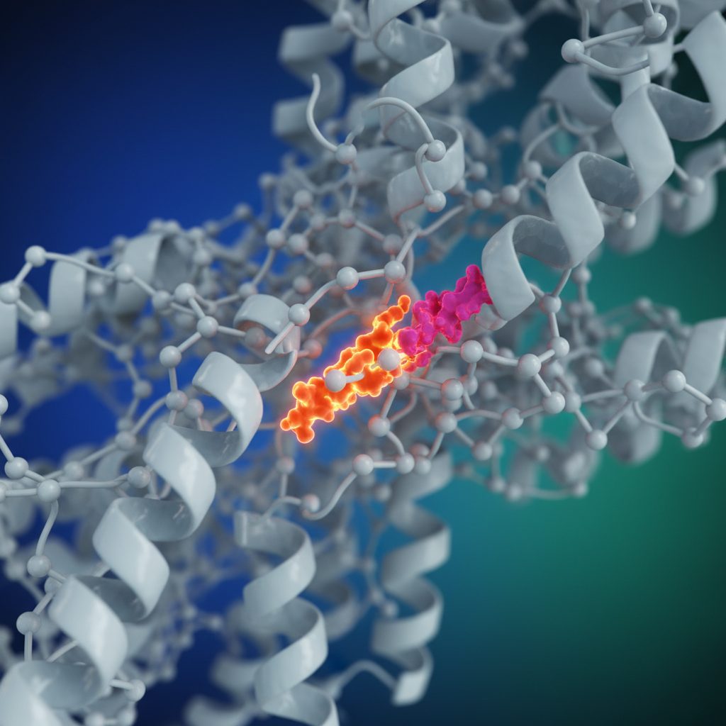 Molecular targeted mechanism of action